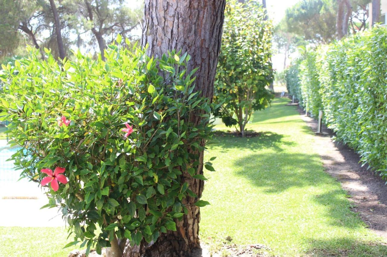 The Pinewood Villa Vilamoura Extérieur photo