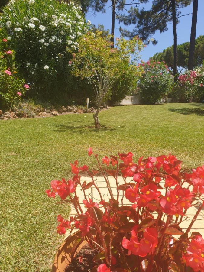 The Pinewood Villa Vilamoura Extérieur photo