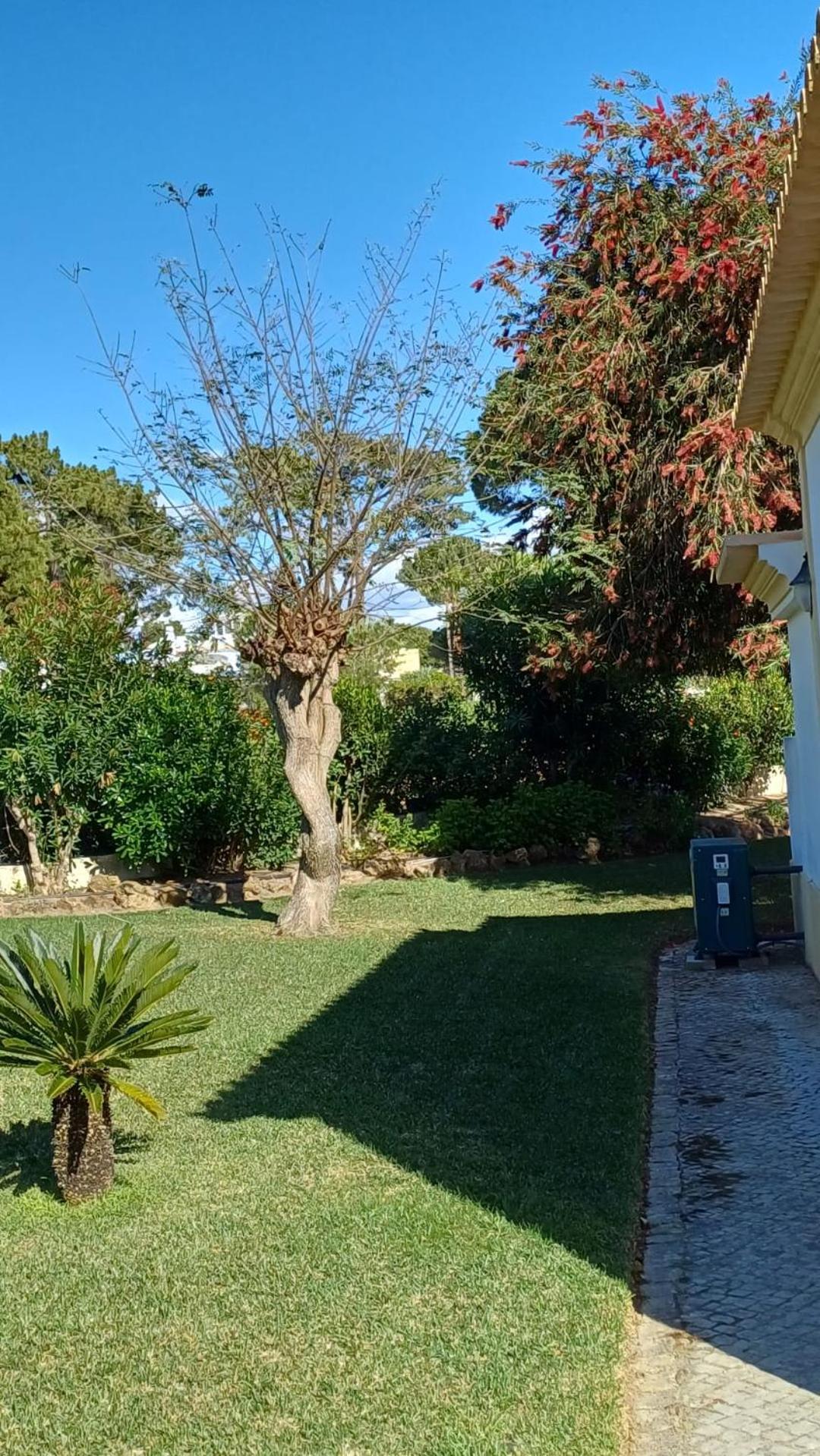 The Pinewood Villa Vilamoura Extérieur photo
