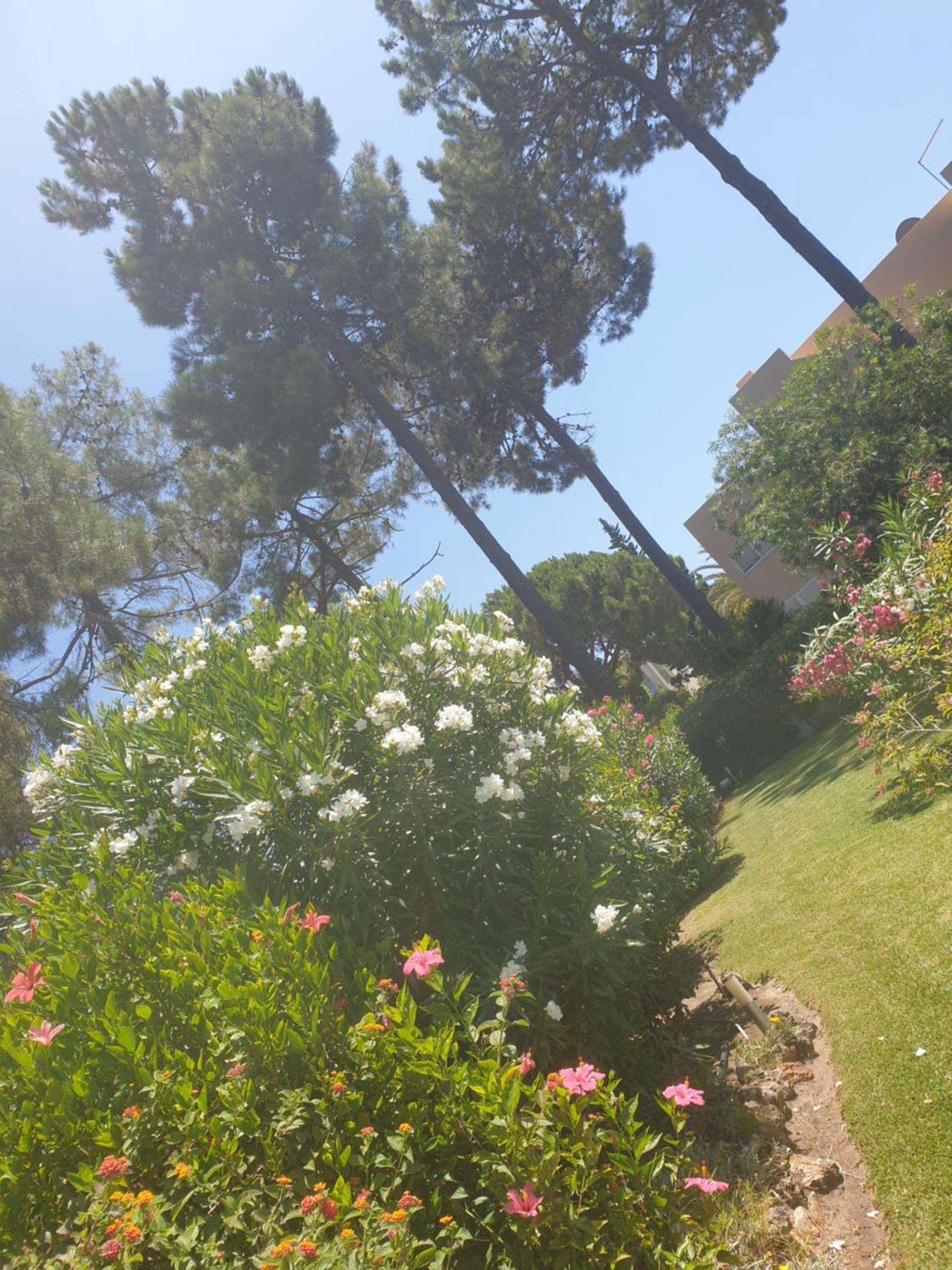 The Pinewood Villa Vilamoura Chambre photo